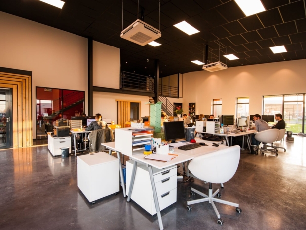Local SEO Agency