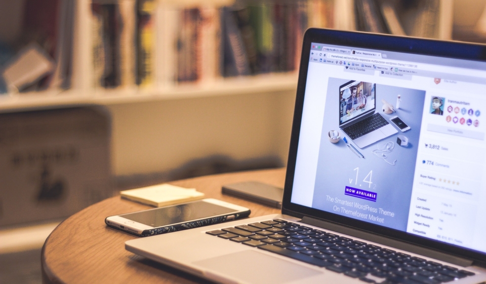 hire a web designer or use a website builder